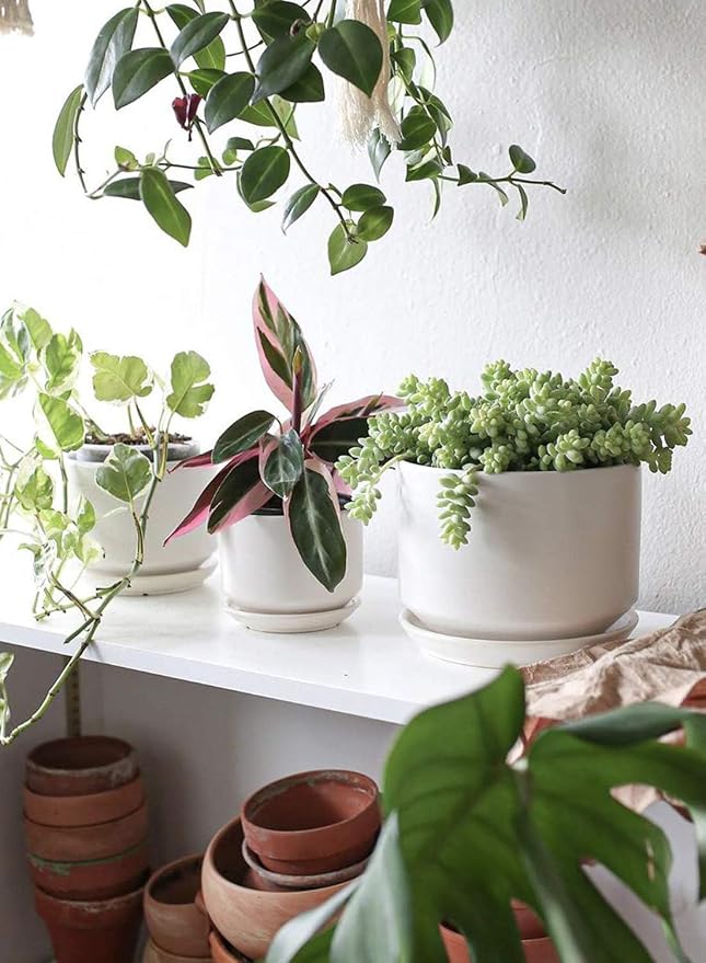LE TAUCI Ceramic Plant Pots, 4.3+5.3+6.8 inch, Planters - Image 3