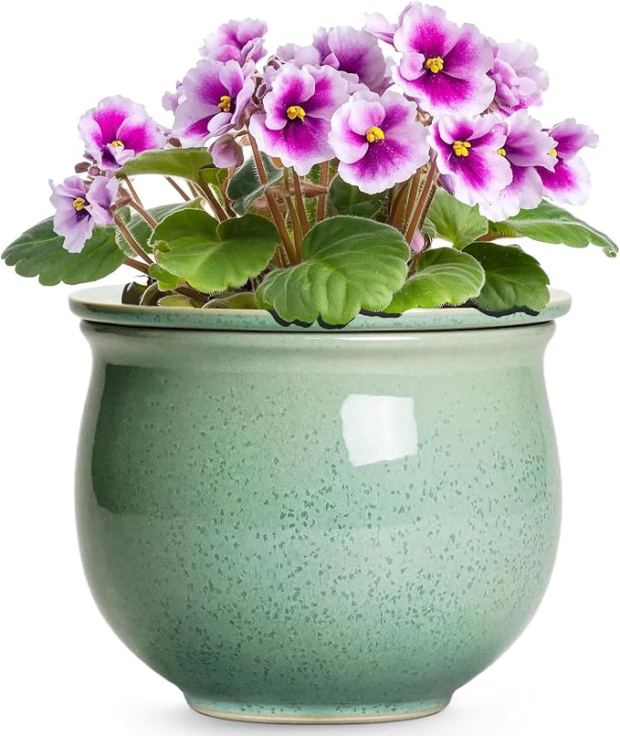 Ceramic Self Watering Pots, 6 Inch African Violet Pots by Teagas