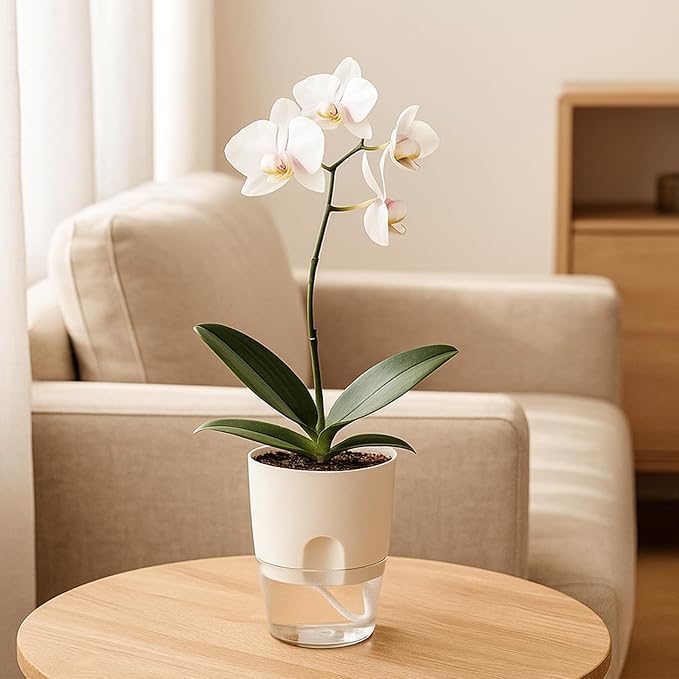 Planterhoma 3 Pack Self Watering Pots - Image 2