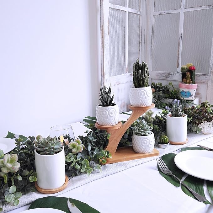 3pcs Owl Succulent Pots with 3 Tier Bamboo Saucers Stand Holder - Image 5
