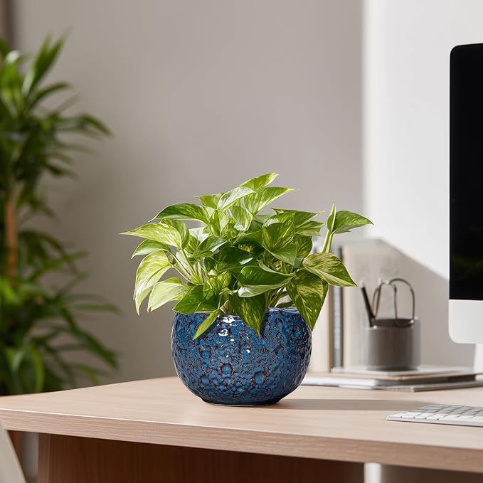 6 Inch Plant Pot - Image 8