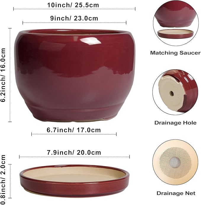 SQOWL Ceramic Pot for Plants - Image 3
