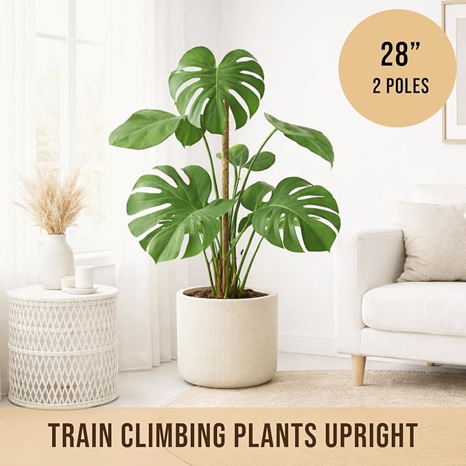 Moss Pole Monstera Plant Support – 2 Pack 28” Bendable Moss Pole Monstera Plant - Image 4