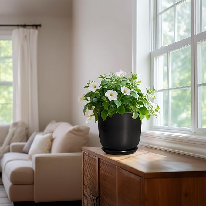 8 Inch Plant Pot - Image 6