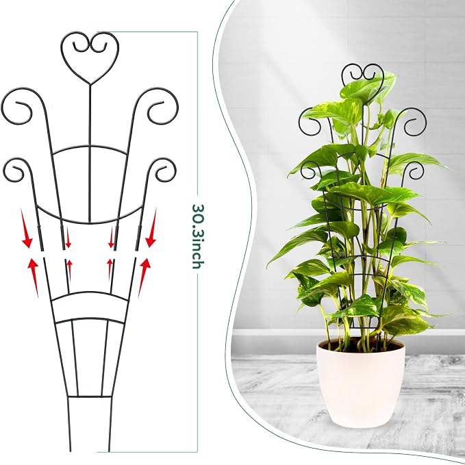 30 Inch Plant Trellis for Climbing Plants Indoor, Outdoor Metal Garden Trellis - Image 2