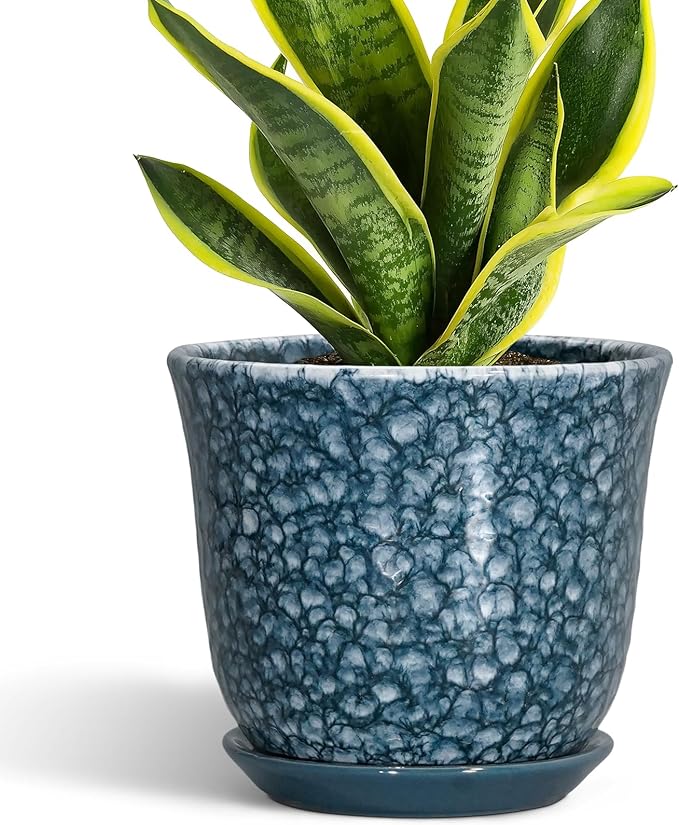 8 Inch Plant Pot by SUNPOTFOR