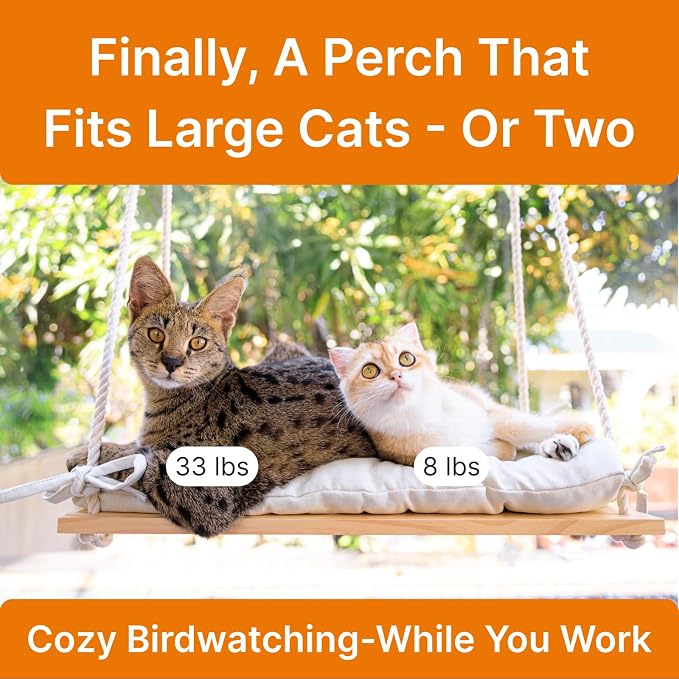Large Cat Window Perch with Industrial-Grade Suction Cups – Solid Pine Wood - Image 2