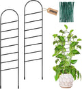 17.5 Inch Indoor Plant Trellis for Climbing Plants, Small Metal Garden Trellis by OYOEETD