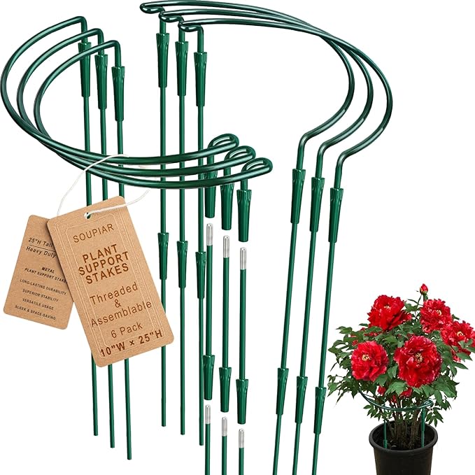 6 Pack Threaded Lock Metal Plant Support Stakes by Soupiar