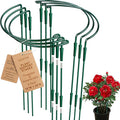 6 Pack Threaded Lock Metal Plant Support Stakes by Soupiar