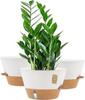 12-Inch Self Watering Planters by FIASON