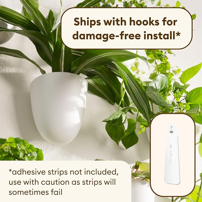 PlantPod Classic - Image 4