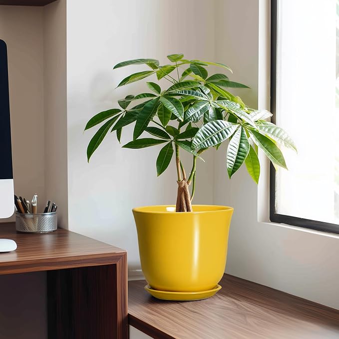 Ceramic Pots for Plants - Image 3