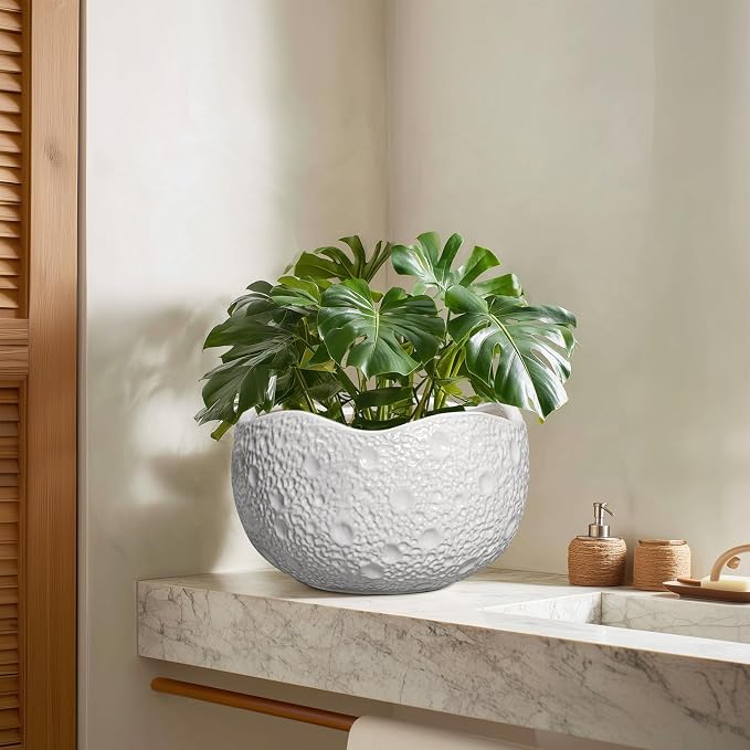10 Inch Plant Pot - Image 7