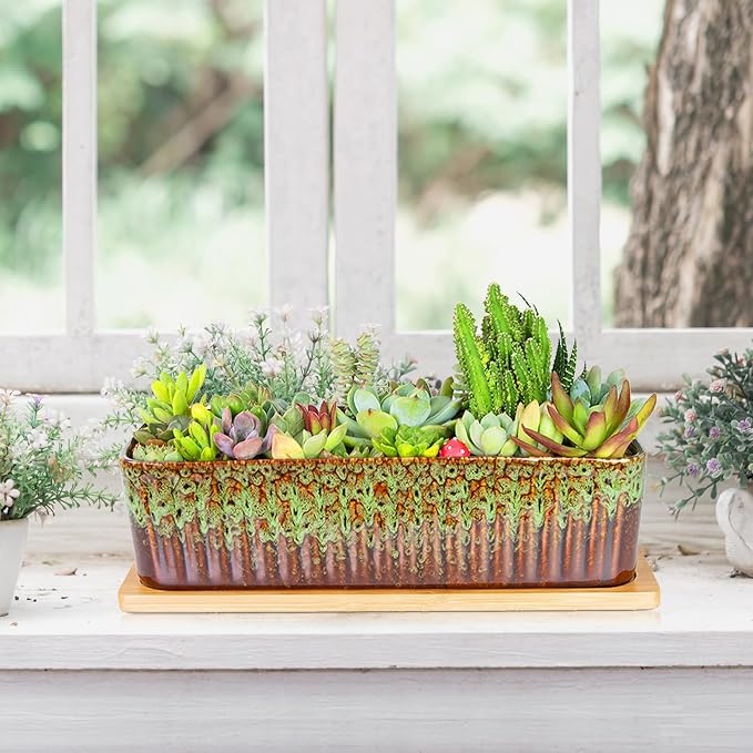 Succulent Pots - 12 Inch Large Succulent Planters - Image 6