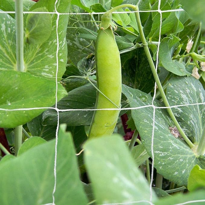 Tcamp Heavy-Duty Polyester Plant Trellis Netting 5 x 30ft - Image 8