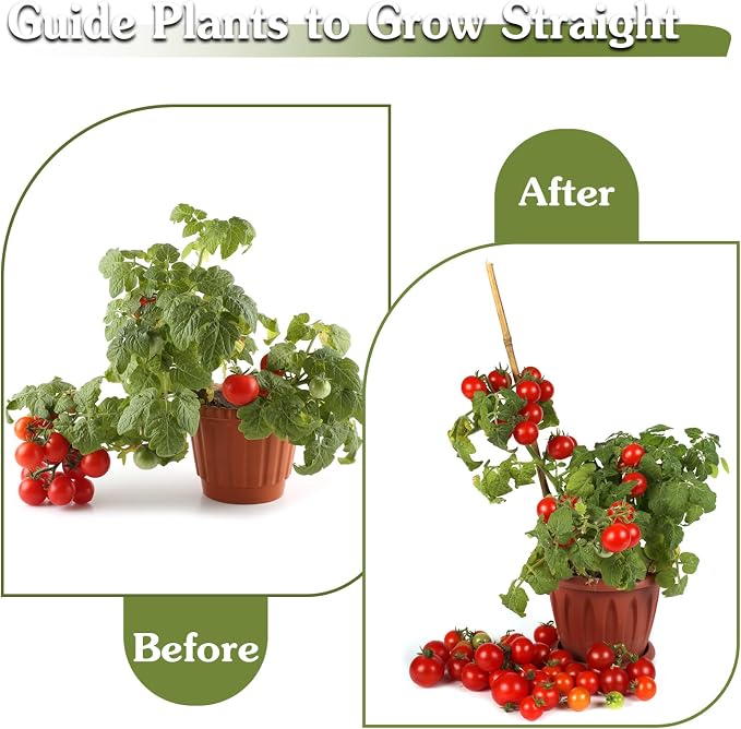 Plant Stakes 18inch, HAINANSTRY Plant Support Stakes - Image 6