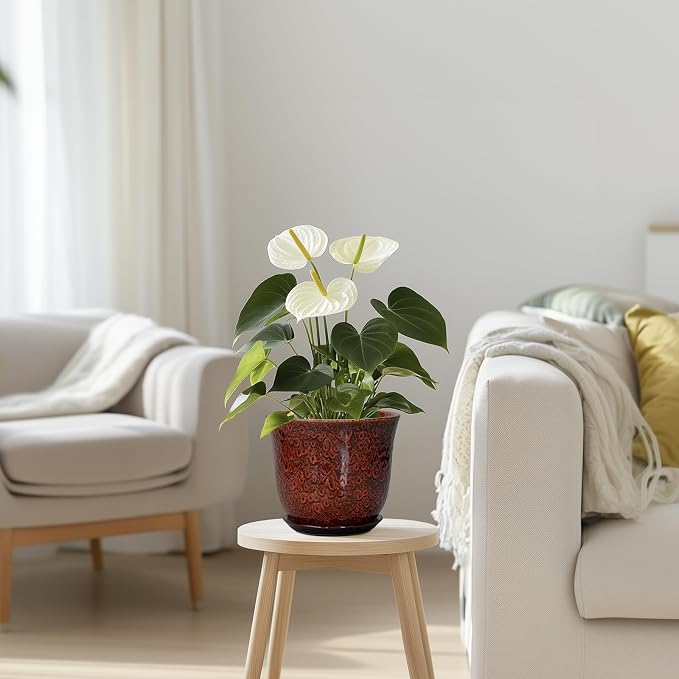 Ceramic Plant Pots - Image 7