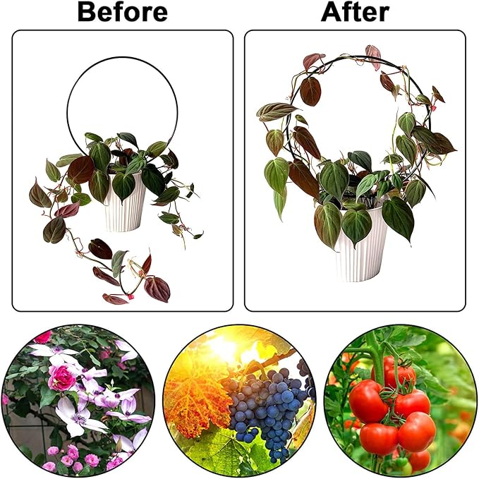 Lyellfe 8 Pack Garden Trellis for Climbing Plants, Iron Plant Trellis, Climbing - Image 5