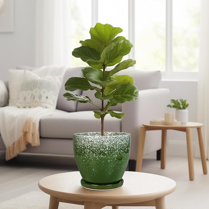 Ceramic Pots for Plants - Image 7
