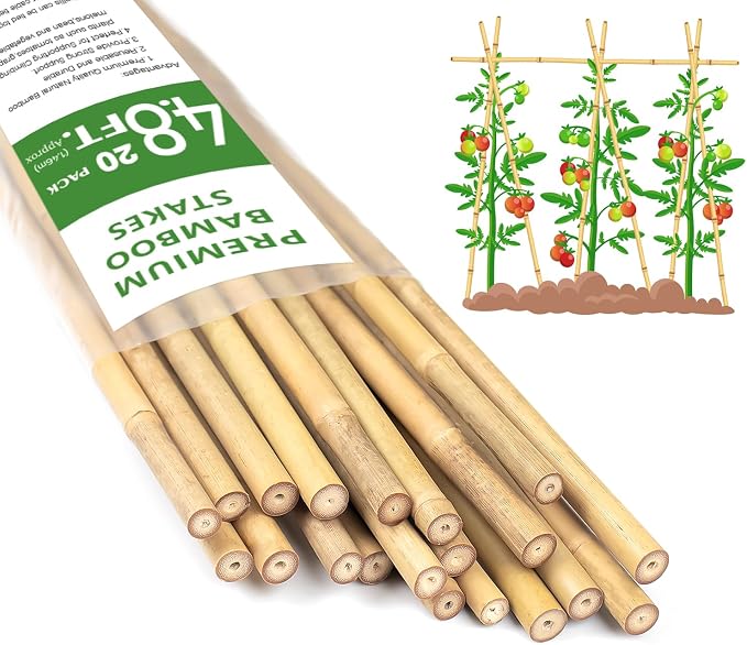 Plant Stakes 4.8FT, Natural Bamboo Stakes, HAINANSTRY 20Pcs Sturdy Bamboo by HAINANSTRY