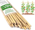 Plant Stakes 4.8FT, Natural Bamboo Stakes, HAINANSTRY 20Pcs Sturdy Bamboo by HAINANSTRY