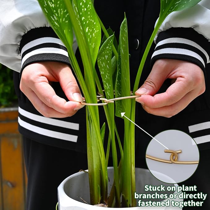 Monstera Plant Stem Support - Image 4
