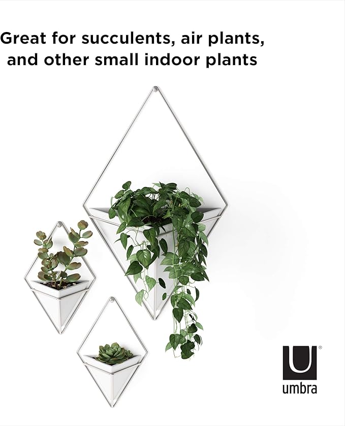 Umbra Trigg Hanging Planter Vase Wall Decor, Faux Plants, and More - Image 6