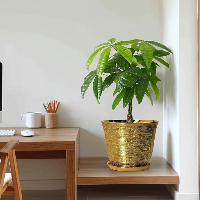 Ceramic Planter - Image 7
