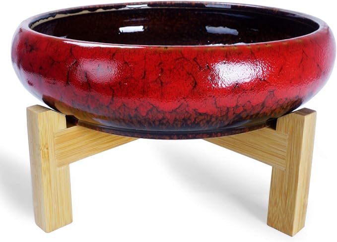 Large Succulent Pots with Drainage & Stand, 10 inch Ceramic Succulent Planter - Image 2