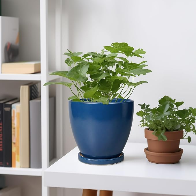 6.8 Inch Plant Pot - Image 2