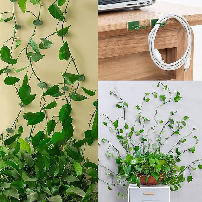 100 Pcs Plant Climbing Wall Fixture Clips Self-Adhesive Hook Vines Traction - Image 4