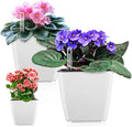 Self Watering Planters for Indoor Plants : 5 inch 3 Pack White African Violet by GsGardenSpecialty