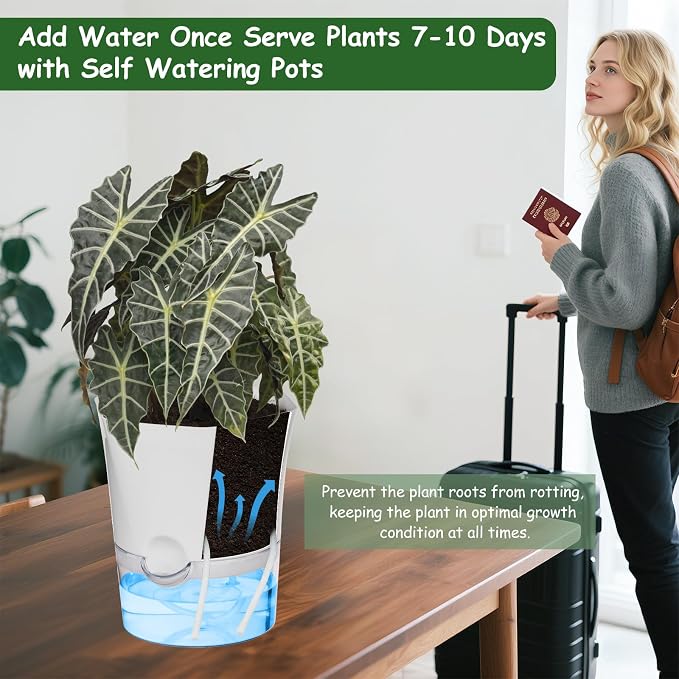 KIMCHOMERSE Self Watering Plant Pots, 6 Inch Orchid Pots, 3 Pack Flowers Pot - Image 6