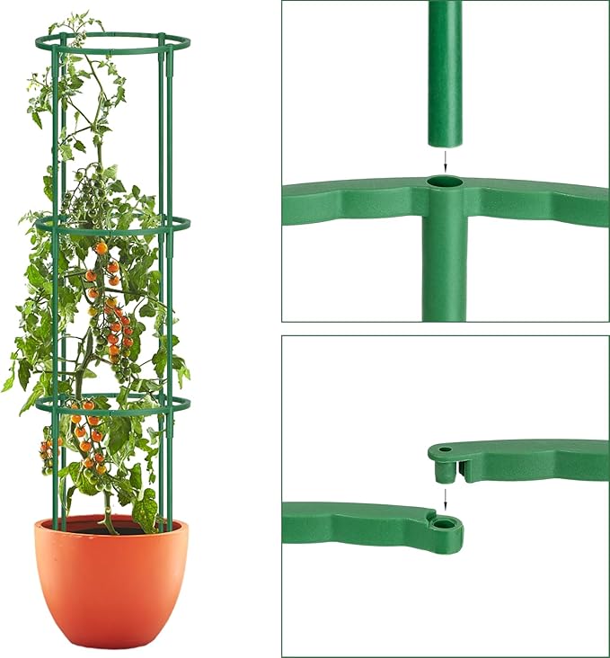 24 Pcs Plant Support Stakes, Half Round Plant Support - Image 5