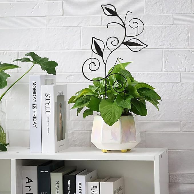 Decorative Metal Plant Trellis for Indoor Potted Plants – Leaf Shape Vine - Image 5