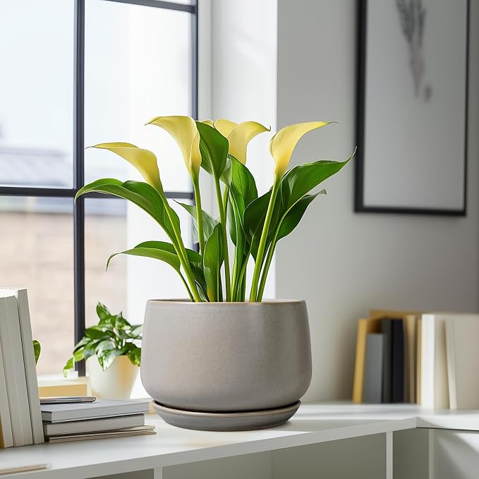 G EPGardening Ceramic Planter 9 Inch - Image 8