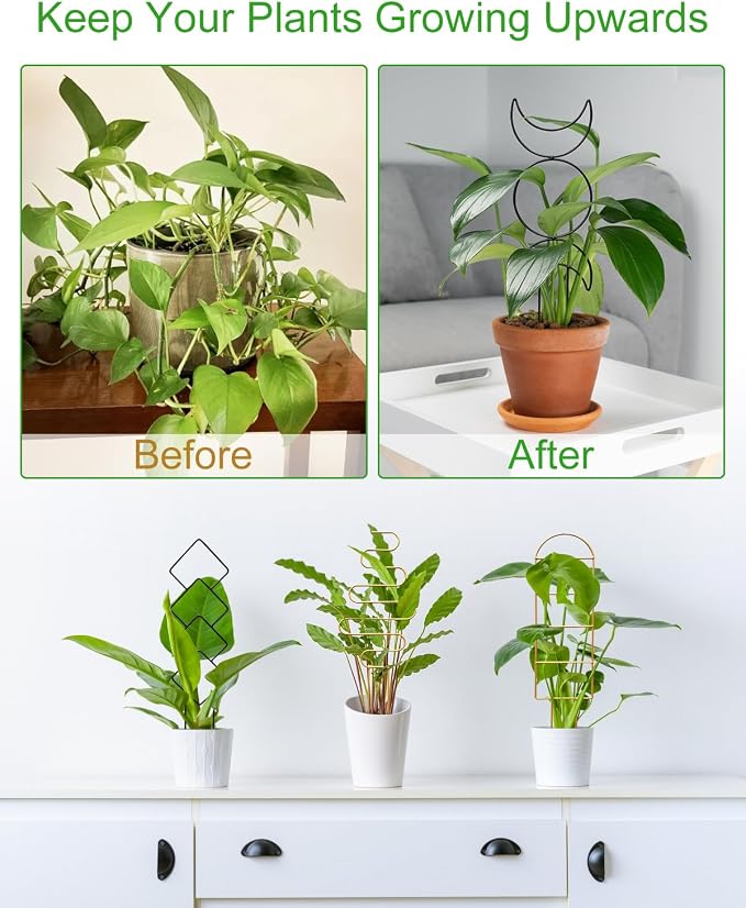 4 Pack Indoor Climbing Plant Trellis, Small Trellis - Image 3
