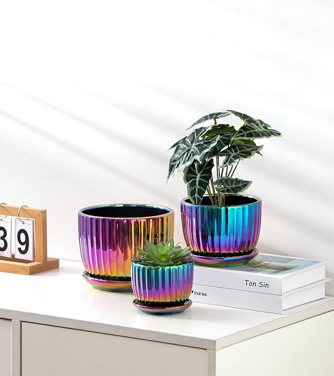 Ton Sin Flower Pots, Small Glazed Succulent Pots - Image 4