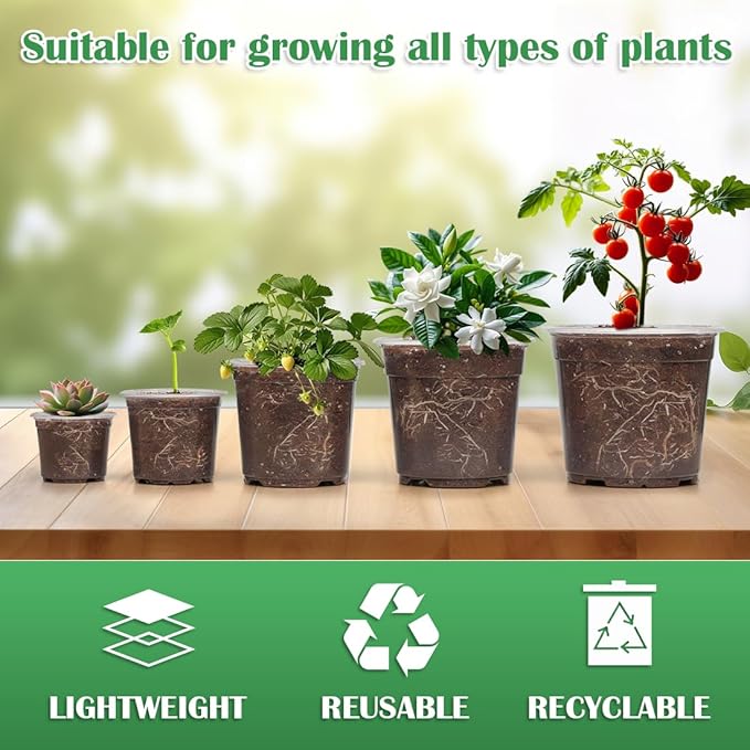 30 Pack 7/6/5/4/3 Inch Clear Nursery Pots - Image 6