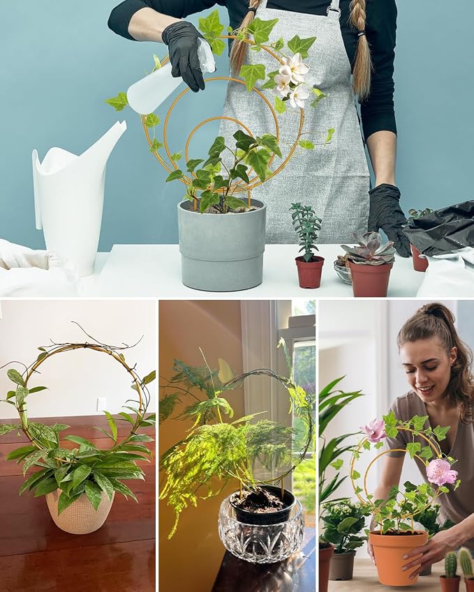 Unique Round Hoya Trellis, Garden Trellis Plant Support - Image 7