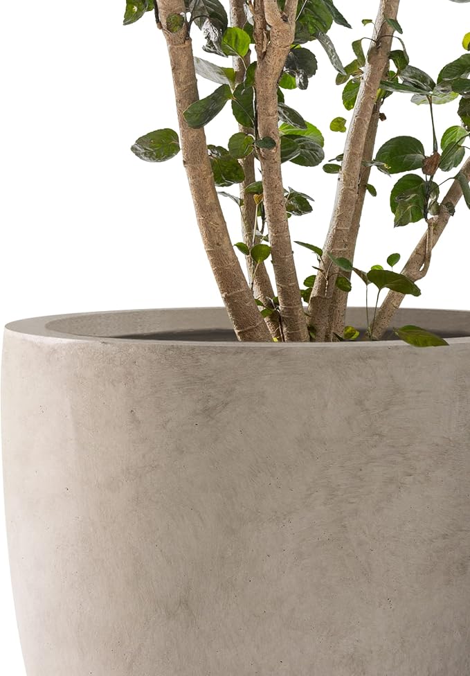 Kante 20", 13.4" Dia Round Concrete Planters, Outdoor Indoor Modern Decorative - Image 5