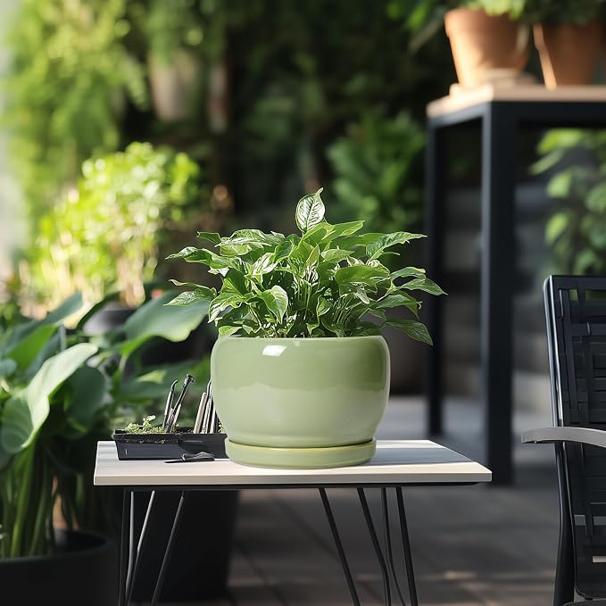 SQOWL 8 Inch Plant Pot - Image 5