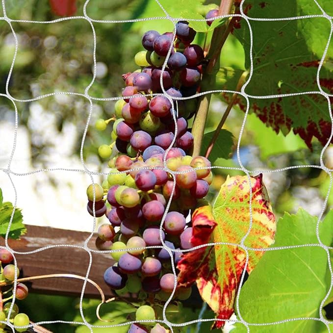 Tcamp Heavy-Duty Polyester Garden Trellis Netting Plant Climbing Net - Image 2