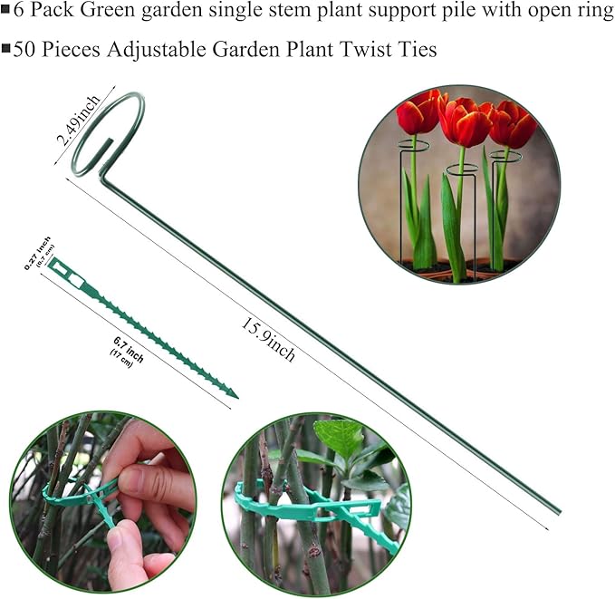 Plant Stake Support - Image 2