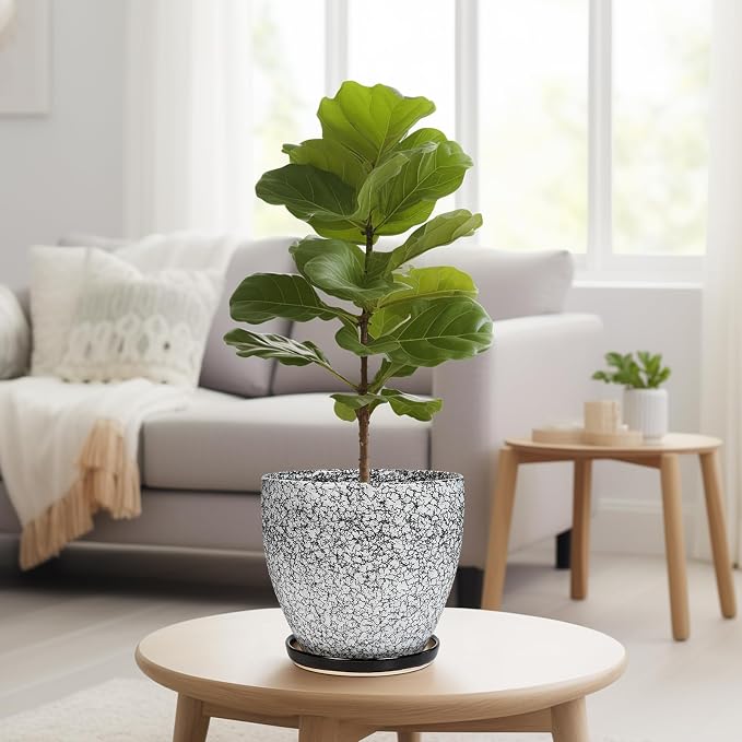 Ceraimc Plant Pot - Image 7