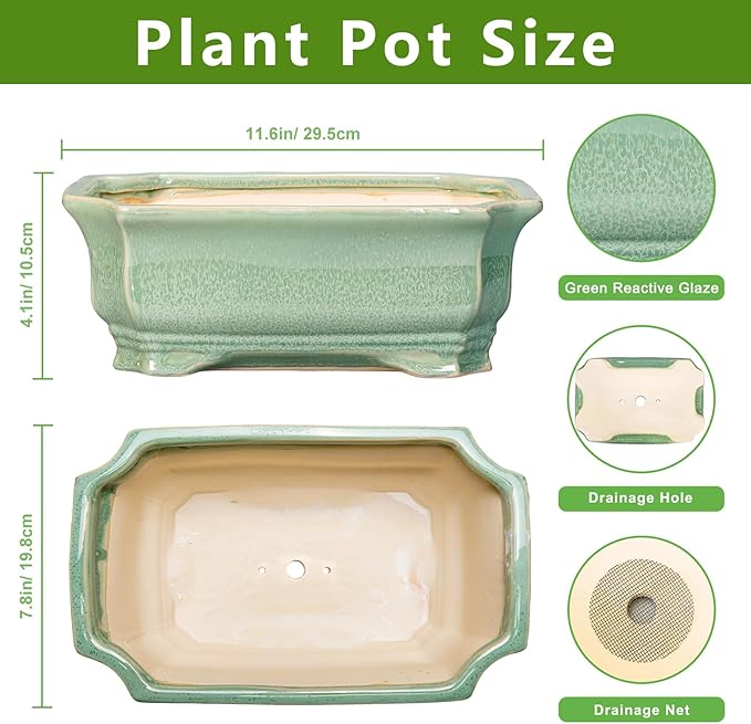 Bonsai Tree Pot 11.6 Inch - Image 2