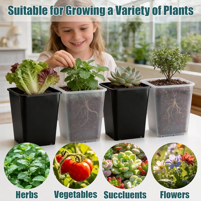 Nursery Pots 6 Inch 40 Pcs, Plastic Seed Starting Pot - Image 4