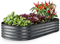 Plant & Plot Galvanized Raised Garden Beds Outdoor // 6×3×1 ft Planter Raised by PlantPlot