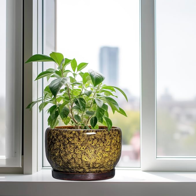 SQOWL 10 Inch Plant Pot - Image 4
